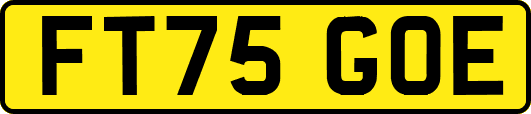 FT75GOE