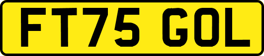 FT75GOL