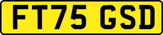 FT75GSD
