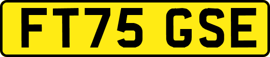 FT75GSE