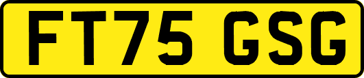 FT75GSG