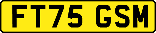 FT75GSM