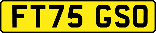 FT75GSO