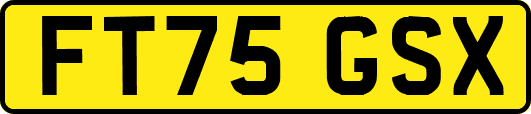 FT75GSX