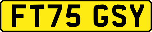 FT75GSY