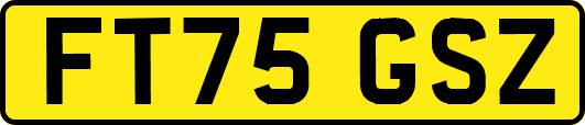 FT75GSZ