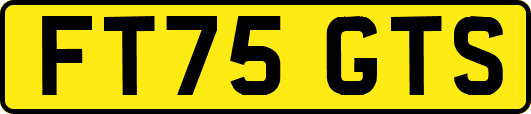FT75GTS