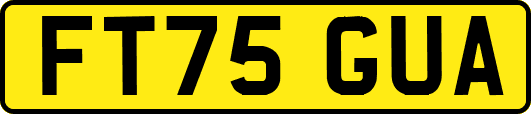 FT75GUA