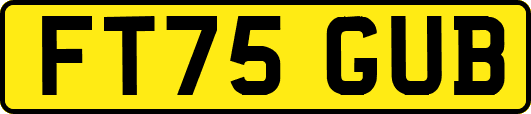 FT75GUB