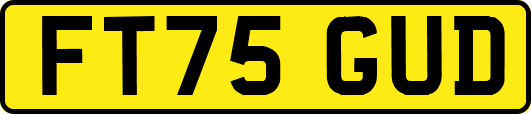 FT75GUD