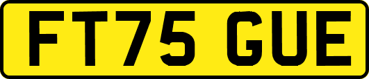FT75GUE
