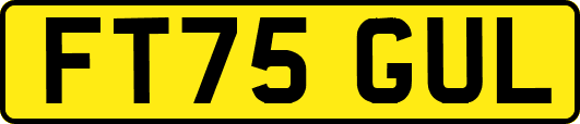 FT75GUL