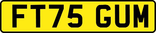 FT75GUM