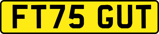 FT75GUT