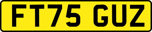 FT75GUZ