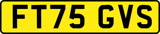 FT75GVS
