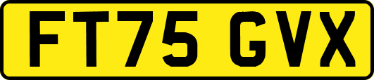 FT75GVX