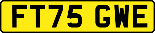 FT75GWE