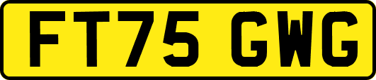 FT75GWG