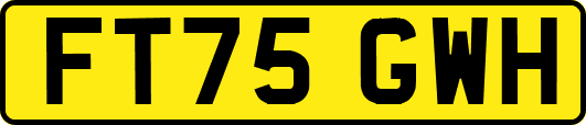 FT75GWH