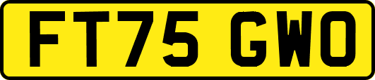 FT75GWO