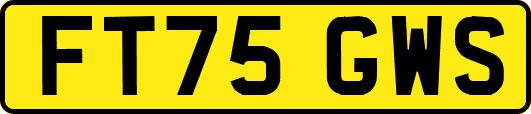 FT75GWS