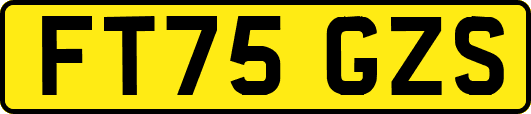 FT75GZS