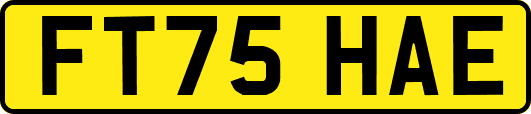 FT75HAE