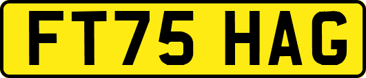 FT75HAG