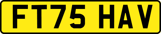 FT75HAV