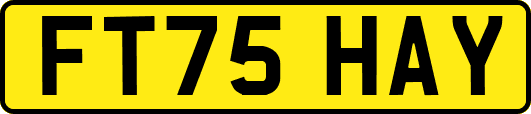 FT75HAY