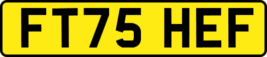 FT75HEF