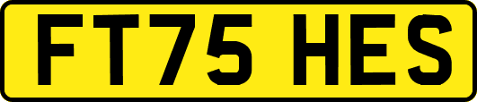 FT75HES