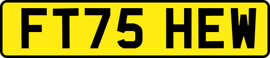 FT75HEW