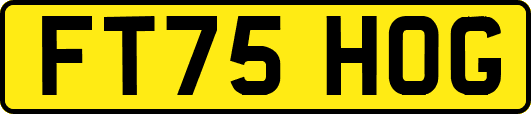 FT75HOG