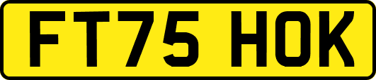 FT75HOK