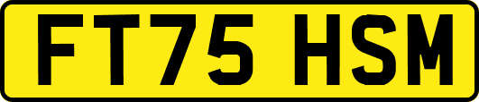 FT75HSM