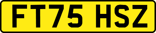 FT75HSZ