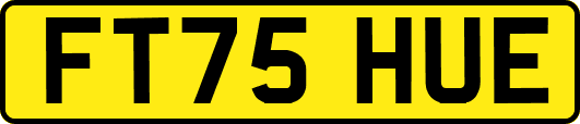 FT75HUE
