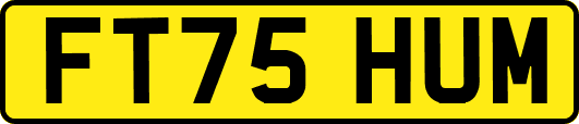 FT75HUM
