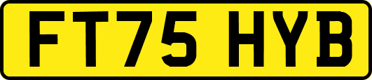 FT75HYB
