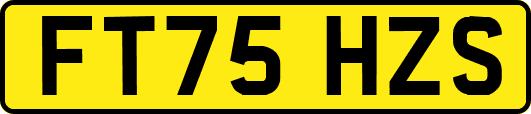 FT75HZS
