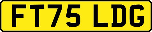 FT75LDG