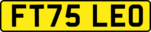 FT75LEO