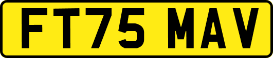 FT75MAV