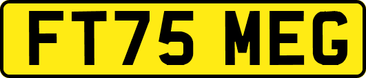 FT75MEG