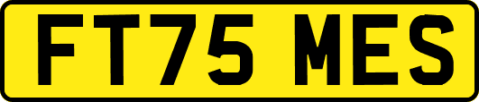FT75MES