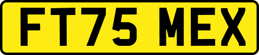FT75MEX