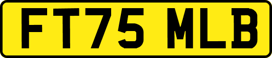 FT75MLB
