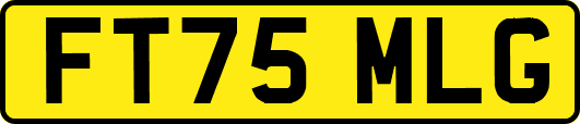 FT75MLG